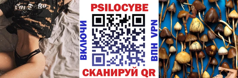 Псилоцибиновые грибы мухоморы Котельниково